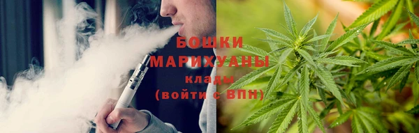 молекула духа Гусев