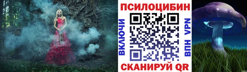 Купить закладки  Нарьян-Мар  Галлюциногенные грибы Magic Shrooms 